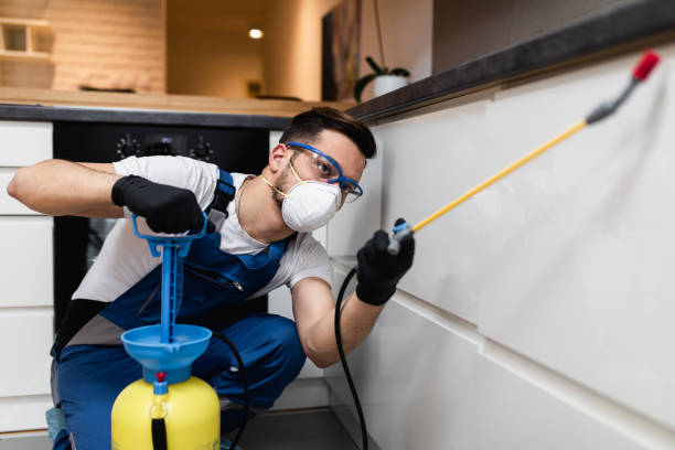 Best Affordable Pest Control Services  in Gray, TN